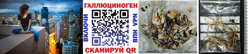 Купить закладки  Кораблино  Псилоцибиновые грибы мухоморы 